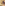 image loading
